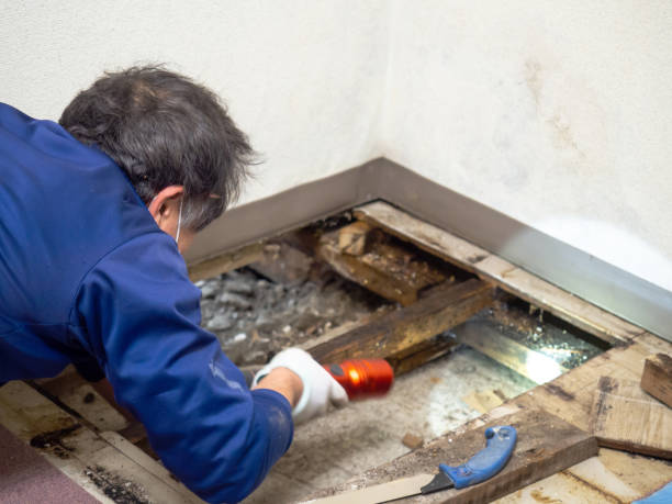 Crawl Space Mold Removal in Staunton, VA