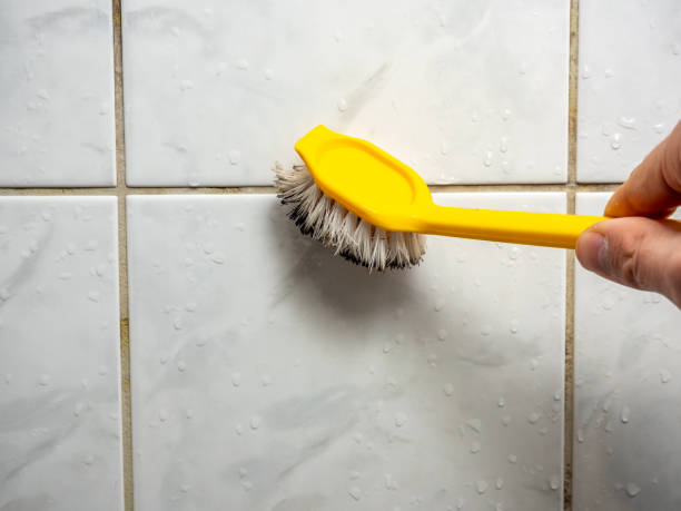 Reliable Staunton, VA Mold Removal Solutions