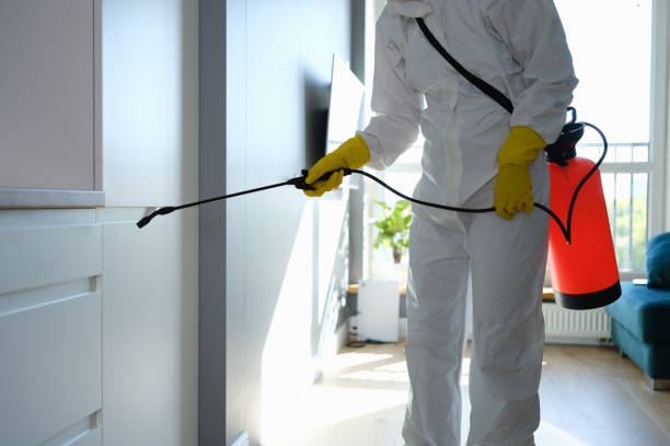 Best Certified Mold Removal  in Staunton, VA