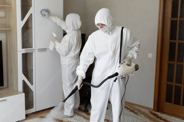 Best Mold Cleaning Services  in Staunton, VA