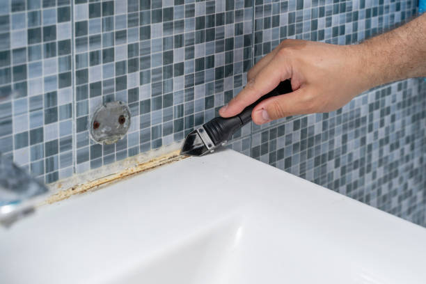 Best Office Mold Removal Services  in Staunton, VA
