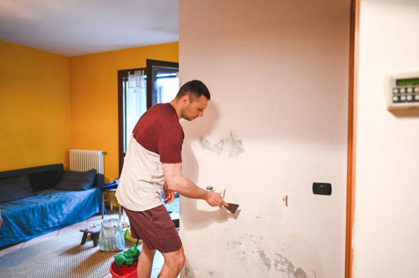 Best Local Mold Removal Service  in Staunton, VA